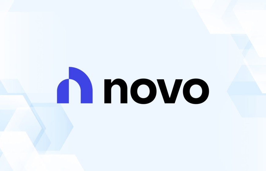 Novo Business Checking Review (2024): Is Novo a Trusted Bank?