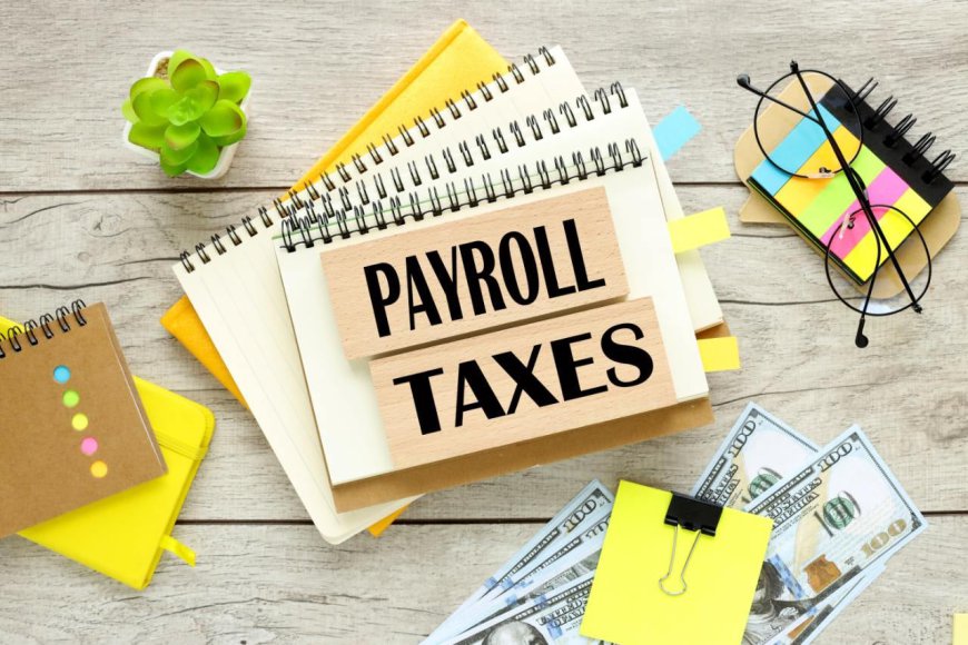 When Are Payroll Taxes Due? 2025 Due Dates and Requirements