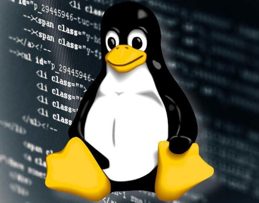 How to Create Users and Groups in Linux from the Command Line